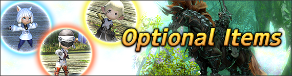 FFXIV News - Optional Items update