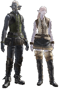 FFXIV Races - Elezen - Duskwight FFXIV Races - Elezen - Duskwight