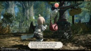 Final Fantasy XIV - Screenshot