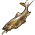 FFXIV - Grilled Trout