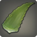 Aloe - Ingredients - Items