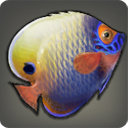 Angelfish - Fish - Items