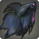 Assassin Betta - Fish - Items