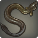 Black Eel - Fish - Items