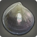 Blacklip Oyster - Fish - Items