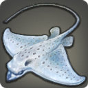Blind Manta - Fish - Items