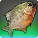 Bloody Brewer - Fish - Items