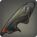 Boltfish - Fish - Items