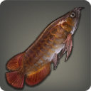 Bonytongue - Fish - Items