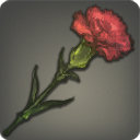 Carnation - Ingredients - Items