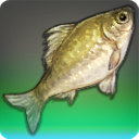 Carp Diem - Fish - Items