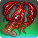 Chirurgeon - Fish - Items