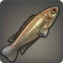 Climbing Perch - Fish - Items