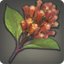 Cloves - Ingredients - Items