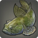 Common Sculpin - Fish - Items