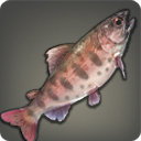 Crimson Trout - Fish - Items