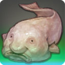 Cupfish - Fish - Items