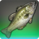 Dark Knight - Fish - Items