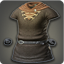 Dated Canvas Tunic (Brown) - Body Armor Level 1-50 - Items