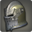 Dated Visored Barbut - Helms, Hats and Masks Level 1-50 - Items