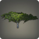 Desert Ironwood - Furnishings - Items