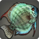 Discus - Fish - Items