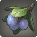 Doman Plum - New Items in Patch 2.35 - Items