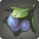 Doman Plum - Miscellany - Items
