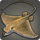 Dune Manta - Fish - Items