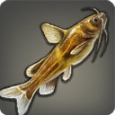 Dwarf Catfish - Fish - Items