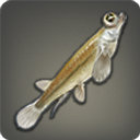 Four-eyed Fish - Fish - Items