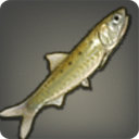 Fullmoon Sardine - Fish - Items