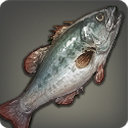 Giant Bass - Fish - Items