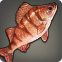 Goblin Perch - Fish - Items