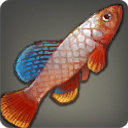 Grip Killifish - Fish - Items