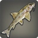 Gudgeon - Fish - Items