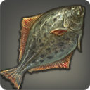 Halibut - Fish - Items