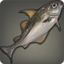 Haraldr Haddock - Fish - Items