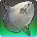 Helmsman's Hand - Fish - Items