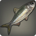 Indigo Herring - Fish - Items