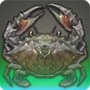 Jacques the Snipper - Fish - Items