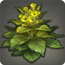 Jute - Fiber - Items