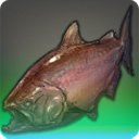 King of the Spring - Fish - Items