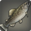 Kissing Trout - Fish - Items