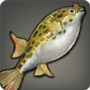Kobold Puffer - Fish - Items