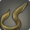 Lamprey - Fish - Items