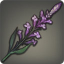 Lavender - Ingredients - Items