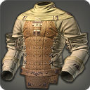 Leather Jacket - Body Armor Level 1-50 - Items