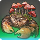 Magicked Mushroom - Fish - Items