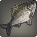 Maiden Carp - Fish - Items